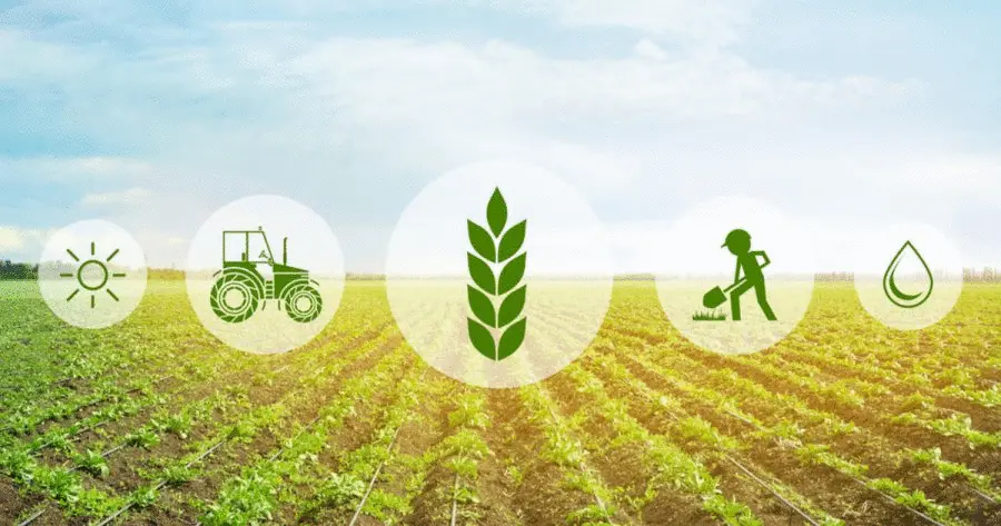 Posicionamento de Marca no Agronegócio
