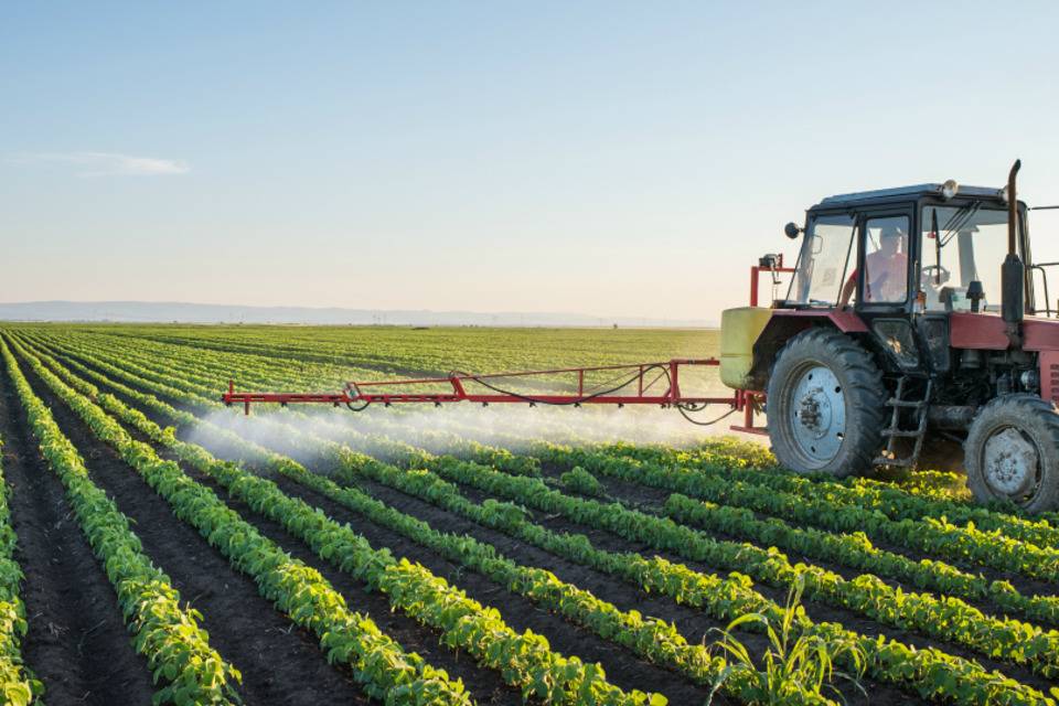 a tractor spraying a field of crops