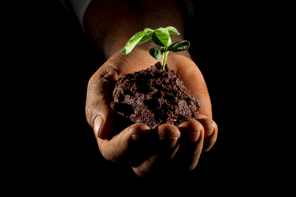 Marketing Agro: Cases de Sucesso para Revendas em 2025