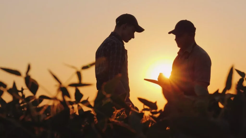 Posicionamento de Marca no Agronegócio