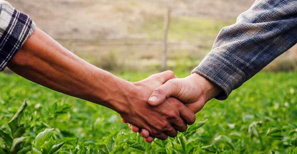 Saiba Como Fechar Mais Vendas com Estratégias Validadas