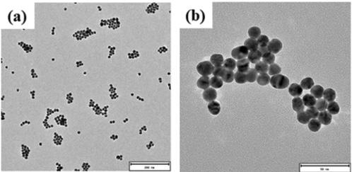 Nanotecnologia aplicada a Fertilizantes