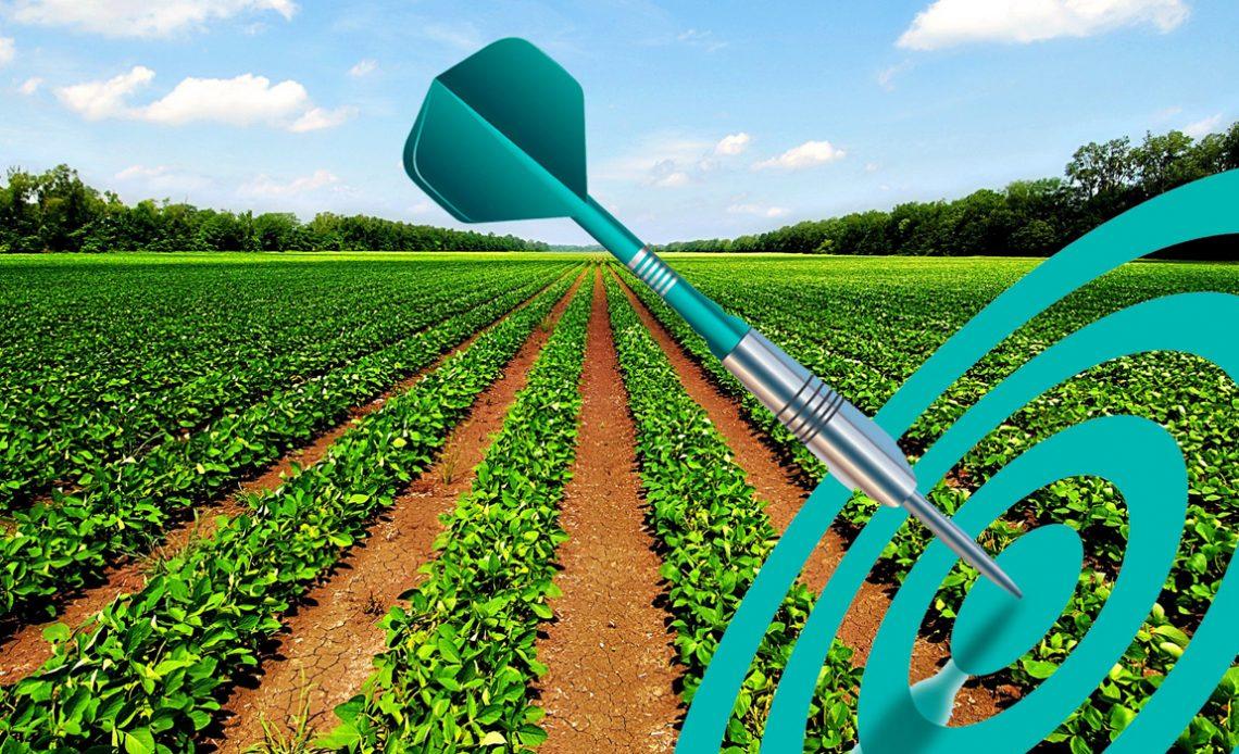 Como construir autoridade no agro usando marketing de conteúdo