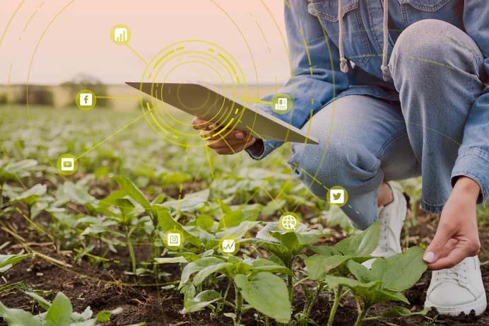 Estratégias de Marketing de Conteúdo no Agro para Construir Autoridade
