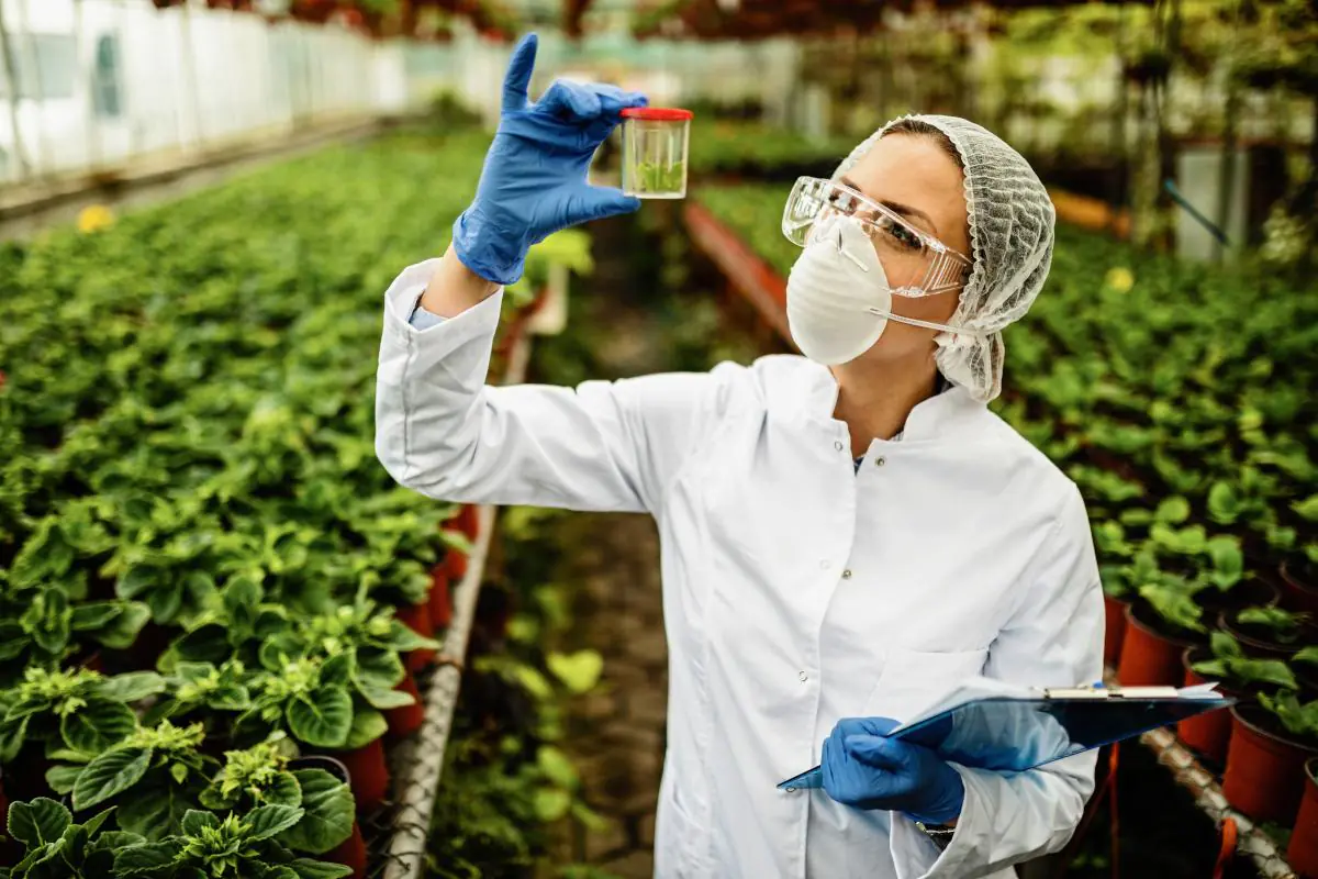 Controle de qualidade de fertilizantes