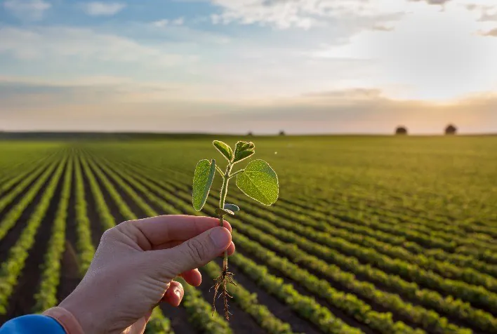 4 Impactos de Novas Marcas de Fertilizantes e Adjuvantes no Mercado